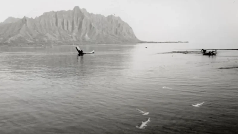 Black and white view of the Ko‘olau mountains from the water with hammerhead sharks swimming near the surface