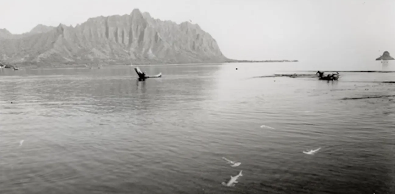 Black and white view of the Ko‘olau mountains from the water with hammerhead sharks swimming near the surface